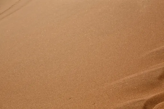 Casino Bingo Millionaire Soporte